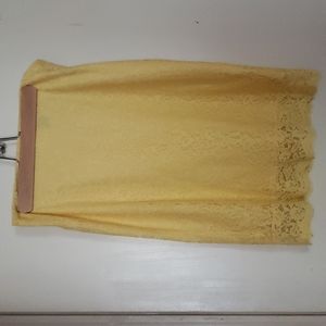 Lace fully lined skirt